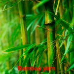 bamboo yarn