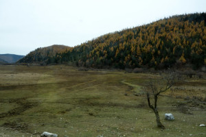 shangrila-49-2