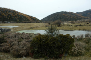shangrila-59-2